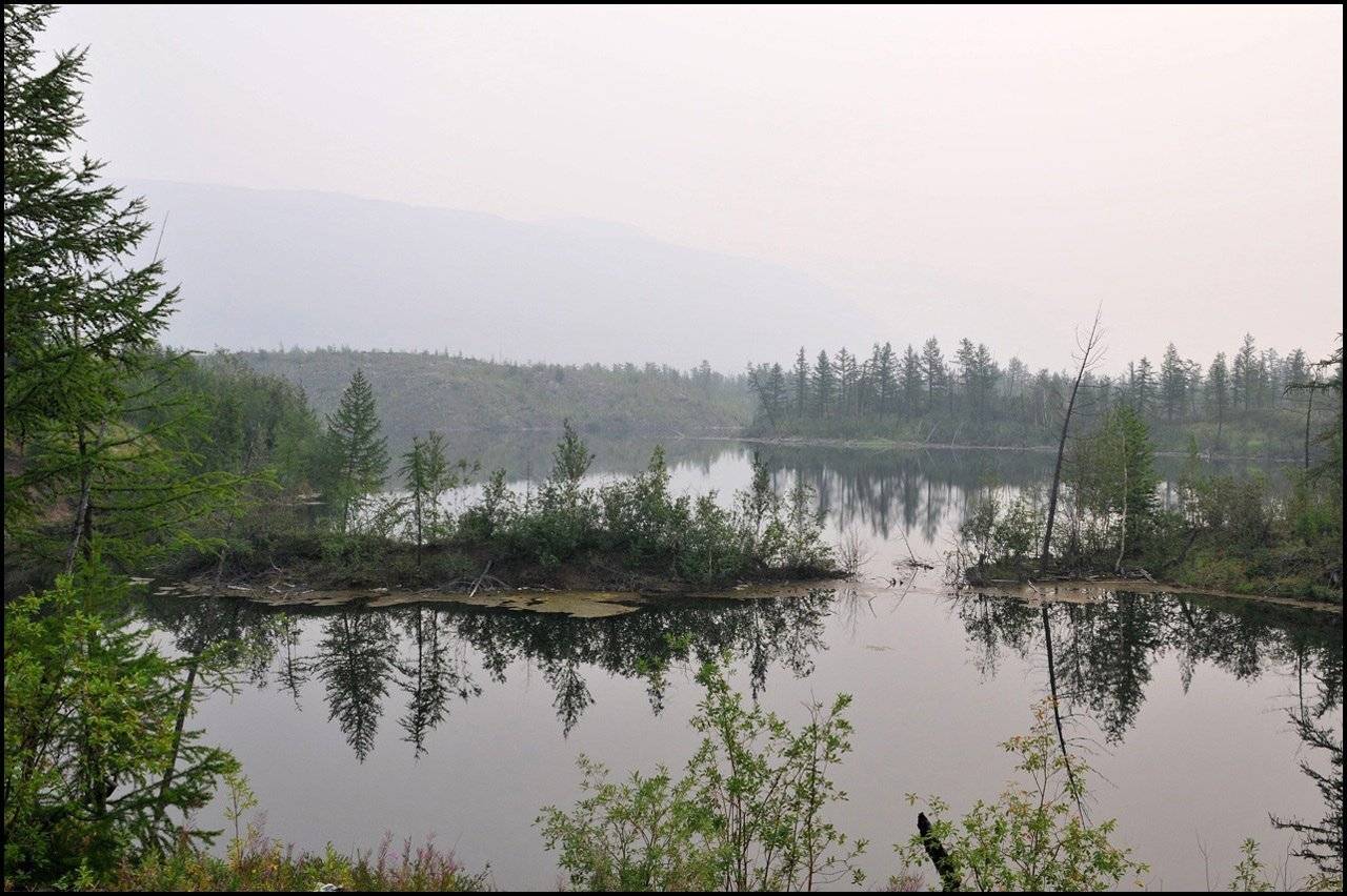 таймыр, Владимир
