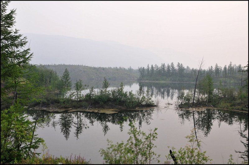 таймыр Тундра фото превью