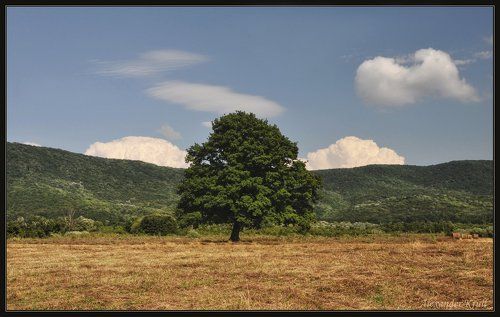 Где-то за городом очень недорого можно про лето снимать...