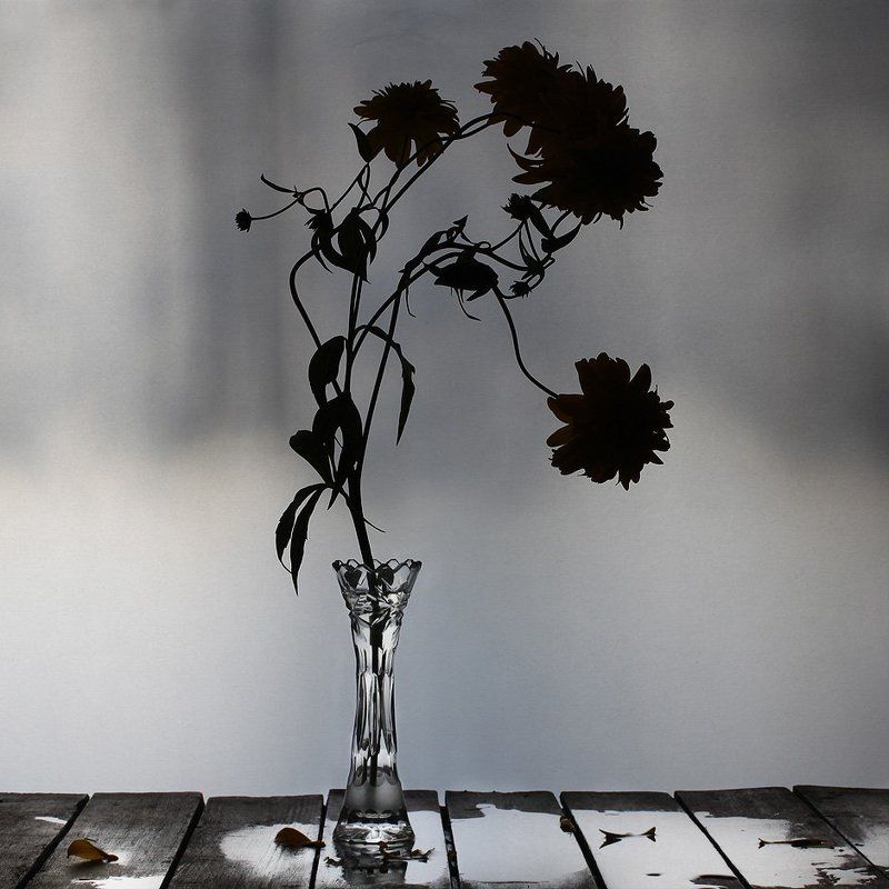 цветы, натюрморт *) *) фото превью