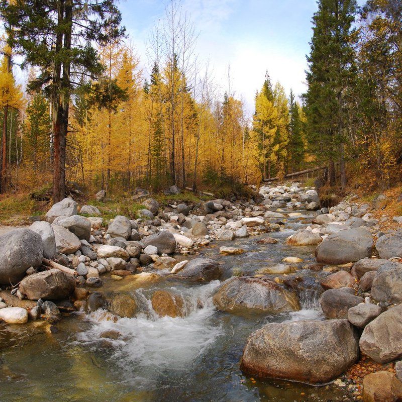 Времена года в Саянах фото превью