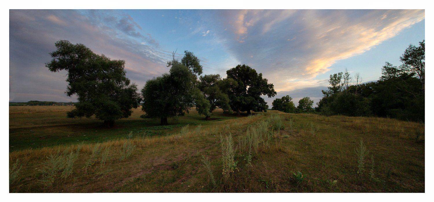 , Владимир Ляпин