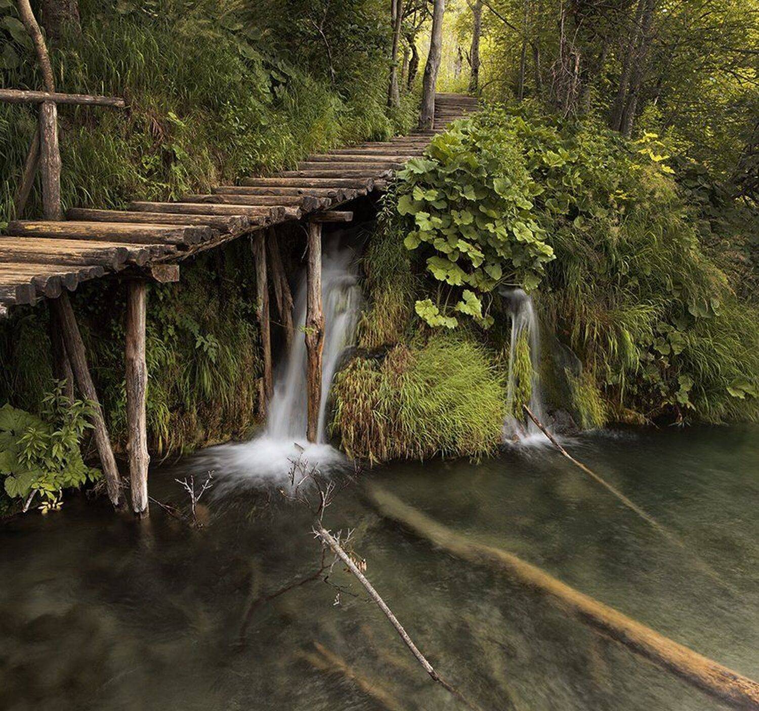 , Игорь Дубровский