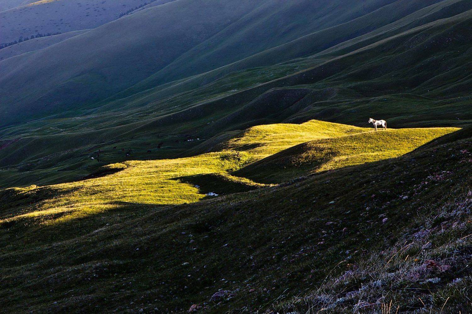 , Сергей Теректі