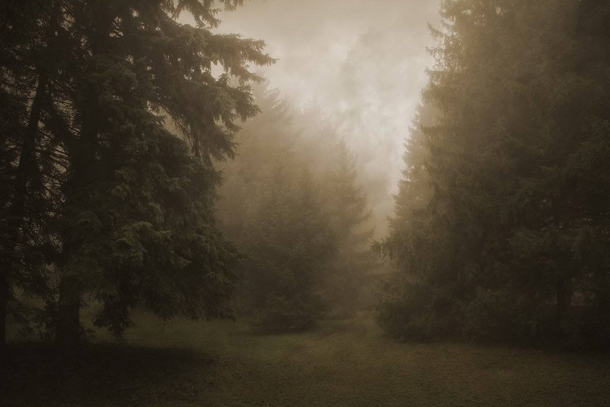 , Михаил  Пилипенко