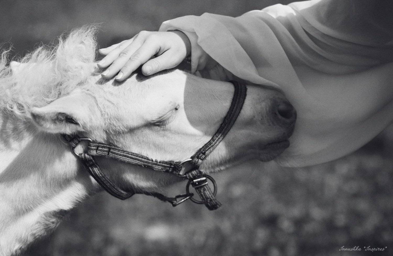 , Иннушка Inspires