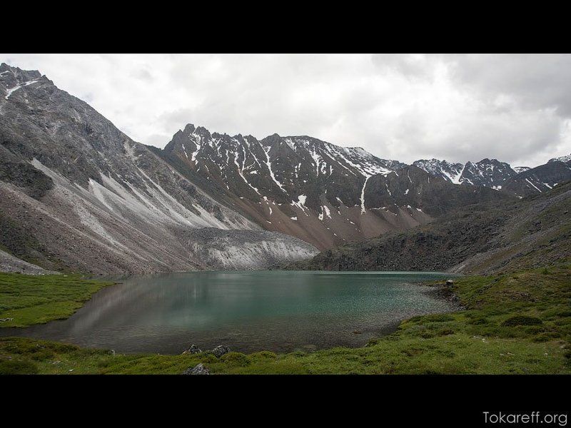 Бурятия, Восточный саян, Сибирь, Тункинские гольцы, Шумак Тункинские Гольцы. Дорога на Шумак. Июль 2013 фото превью