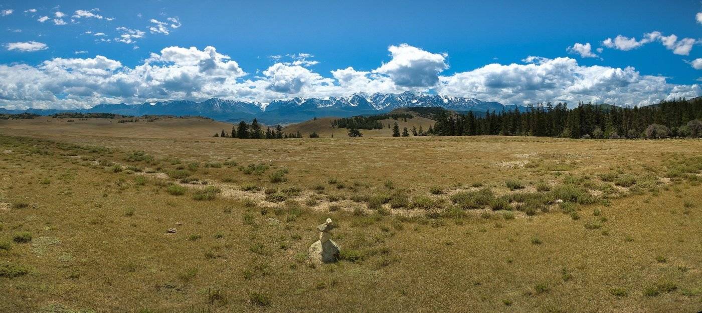 , Алексей Трофимов
