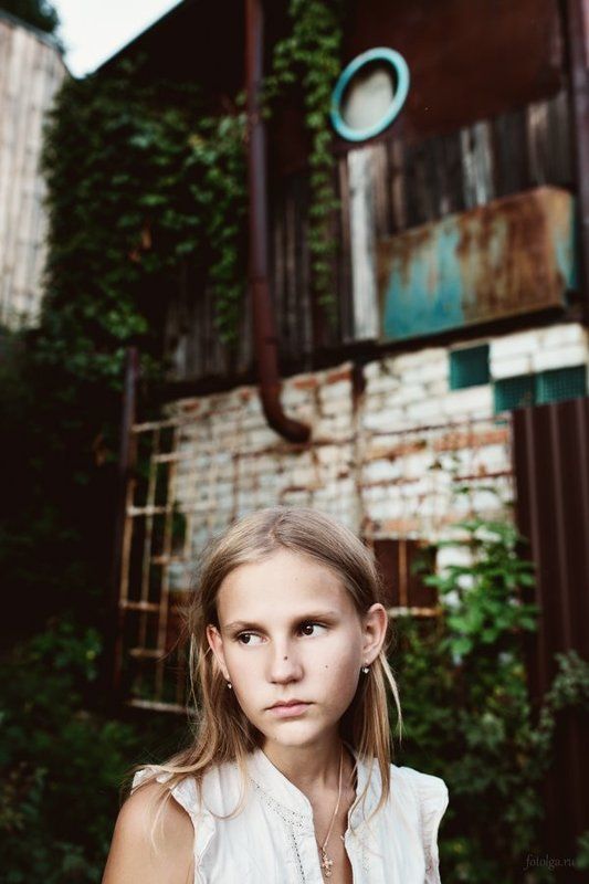 12 фото превью