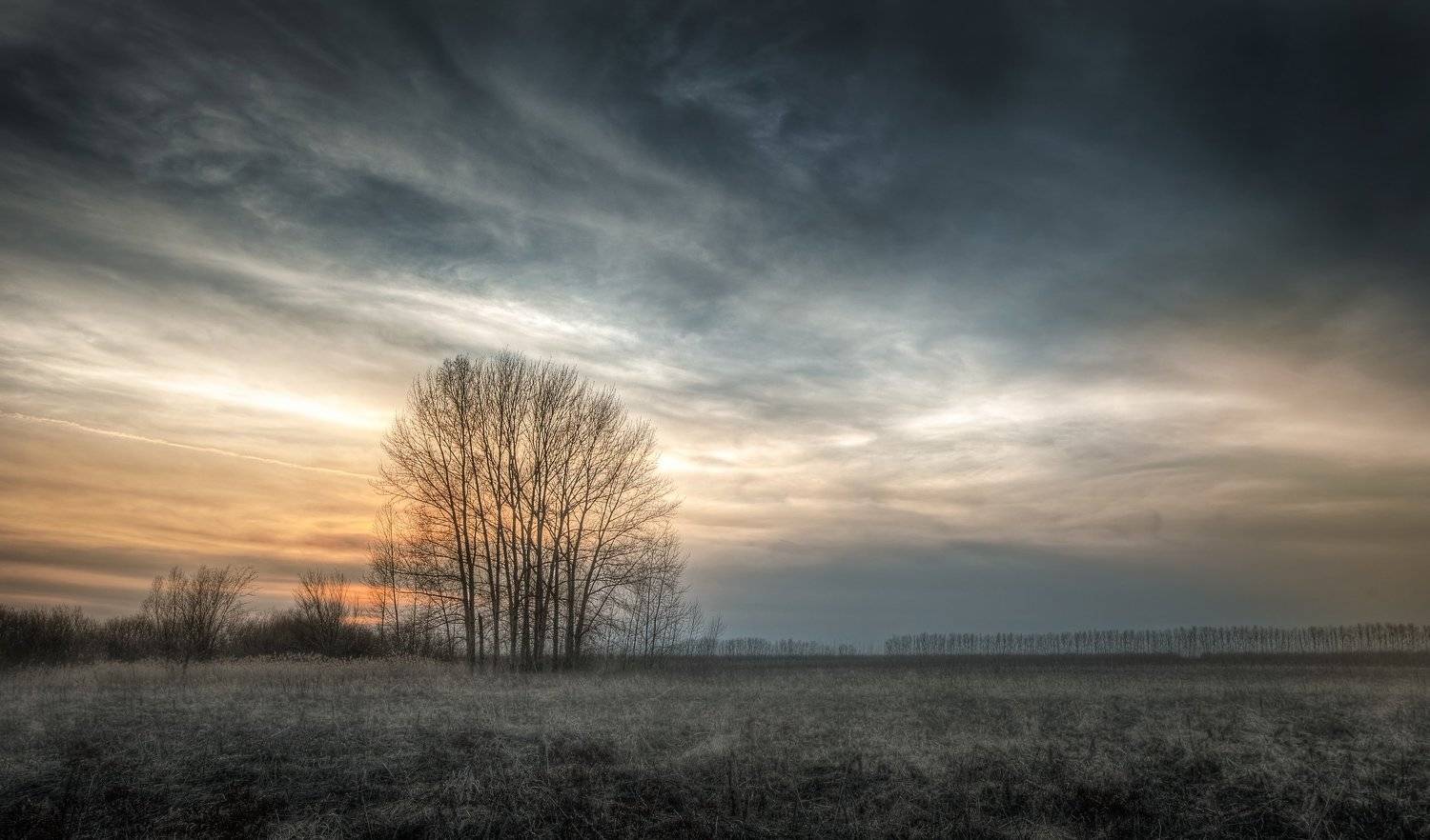 , Сергей Москалянов