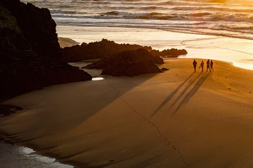 пляжные тени
