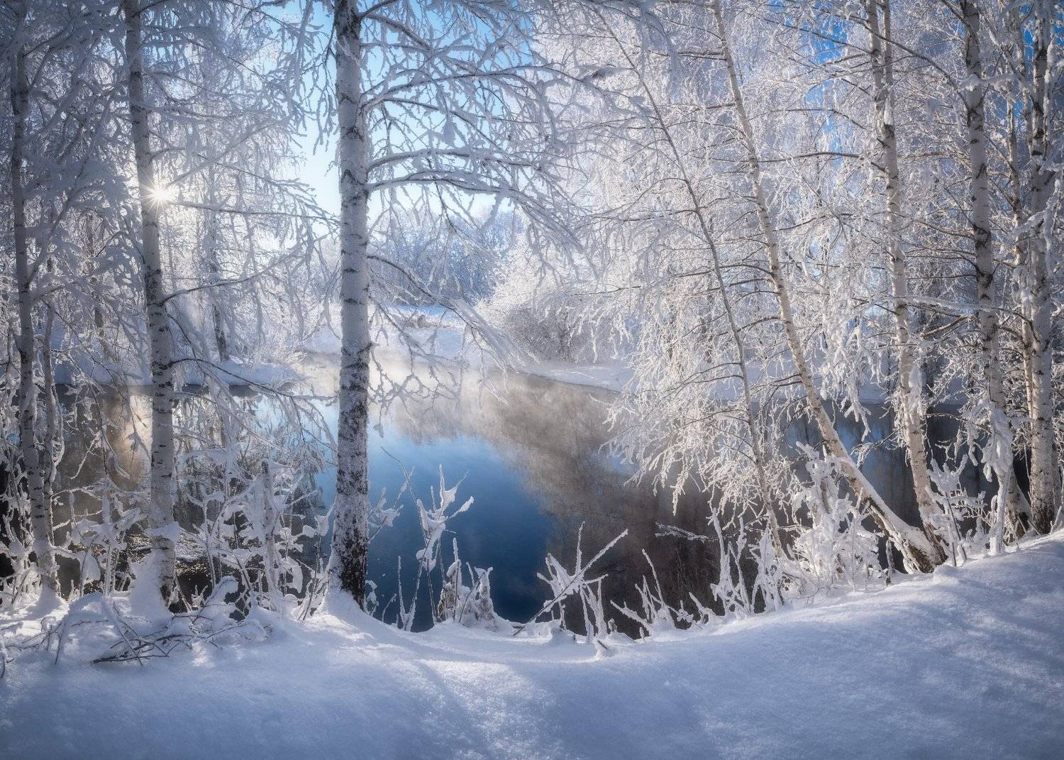 алтай, алтайский край, советский район, река кокша, лебединый заказник, березы в инее, иней, река, вода, зимний пейзаж, декабрь, мороз и солнце, Алена Рубан