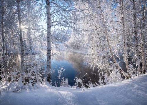 В белом кружеве