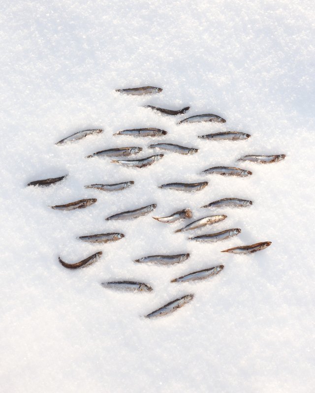 поплыли фото превью