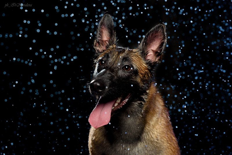 *** фото превью