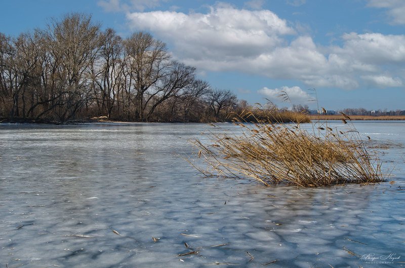 зима, мороз, холодно, лёд, каховка, небо, облака Холодно фото превью
