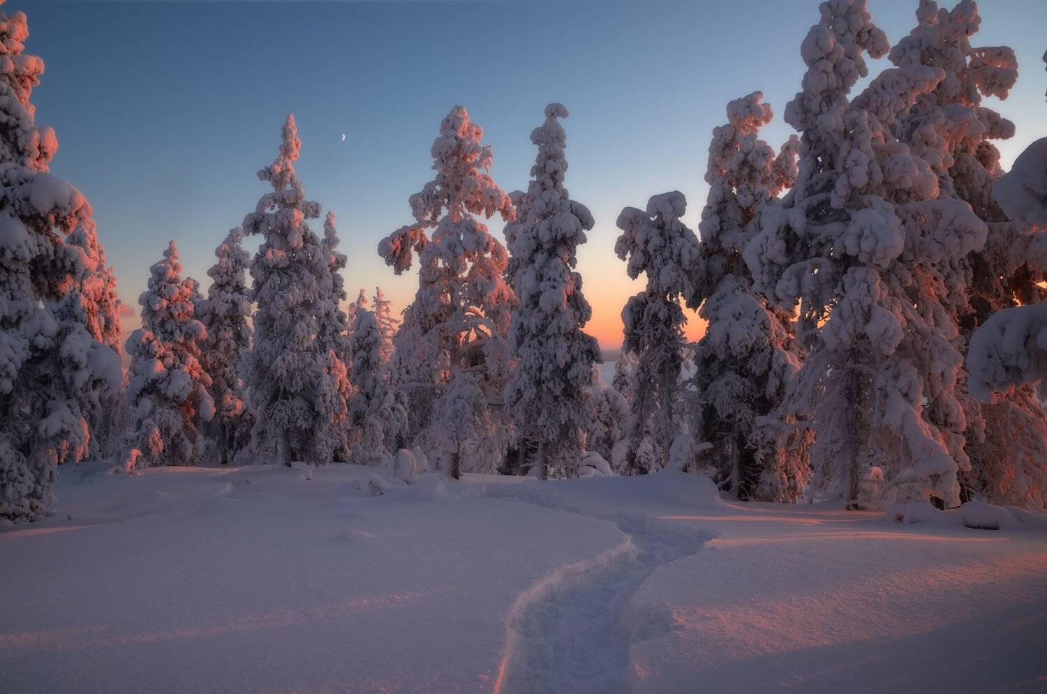 пейзаж,хибины,кольский,север,лес,зима,свет, Виталий Истомин
