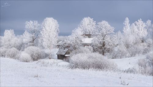 Просто зима ..