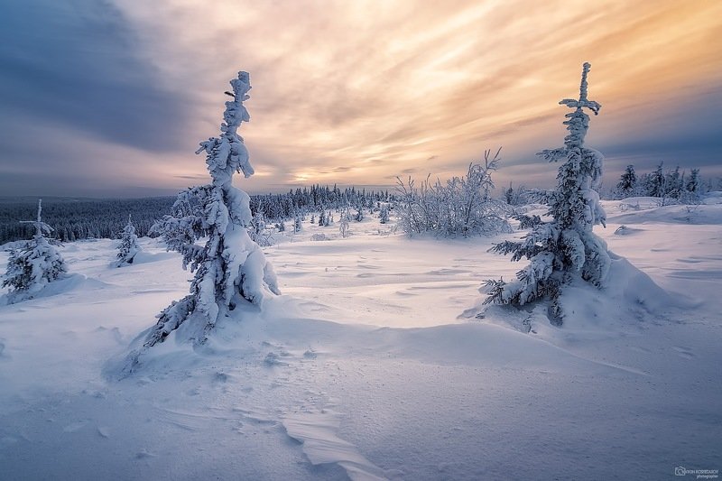 Рассветная акварель-3 фото превью