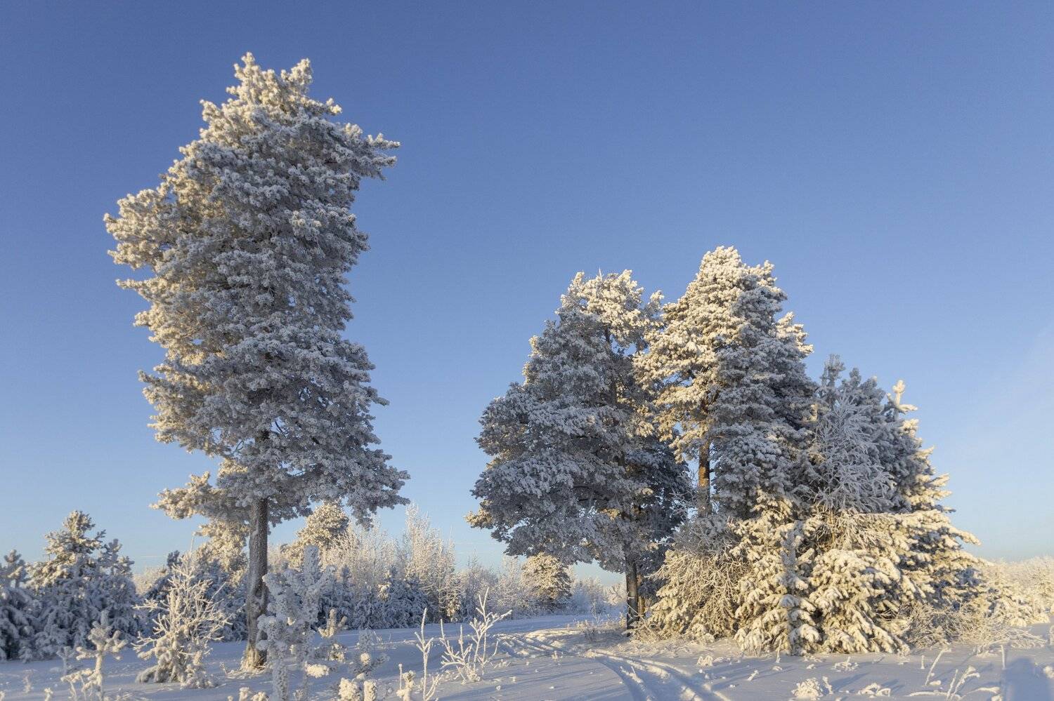 печора,  Толяныч-