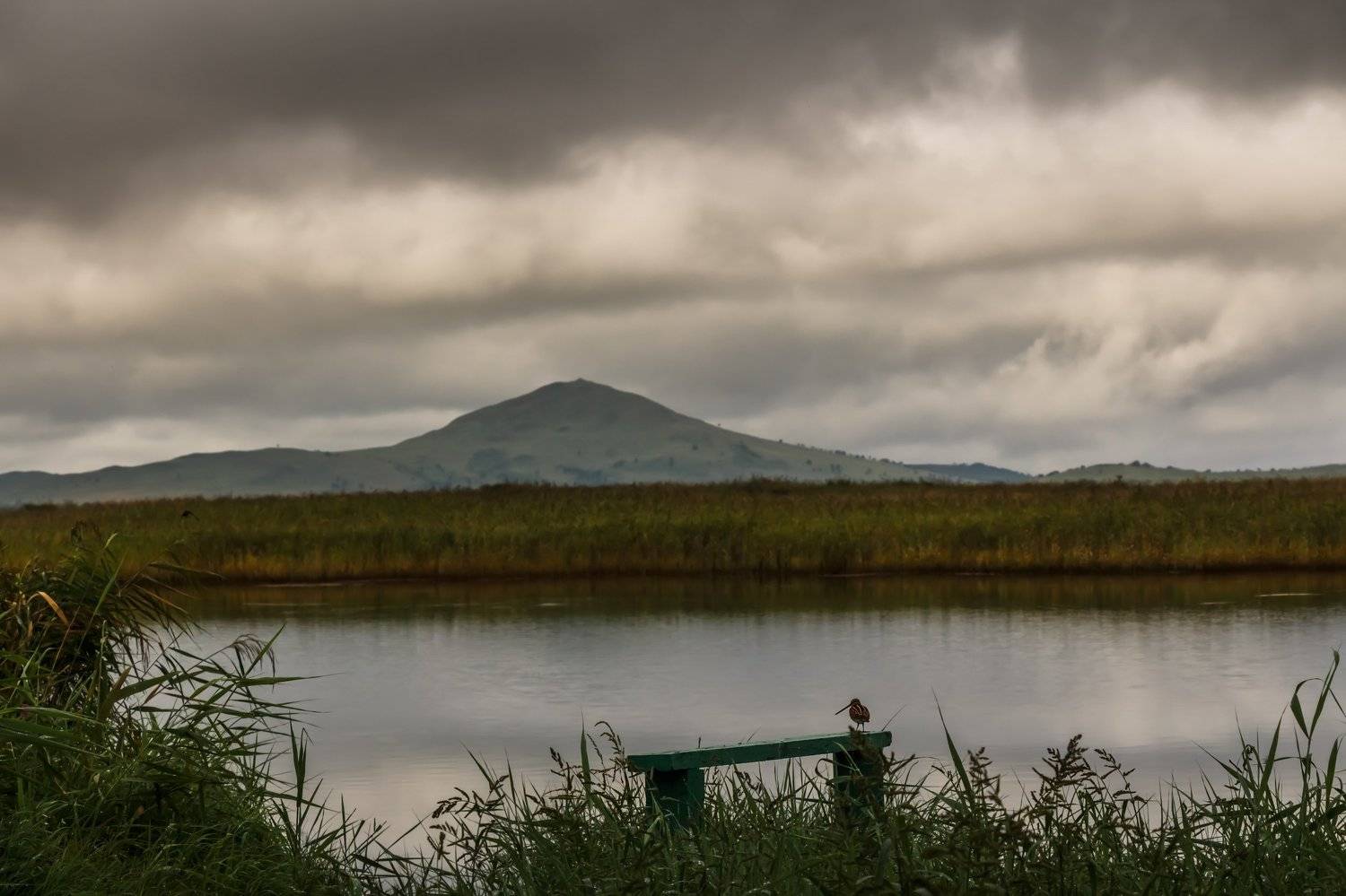 Приморский край, пейзаж, природа, Тамара Морозова