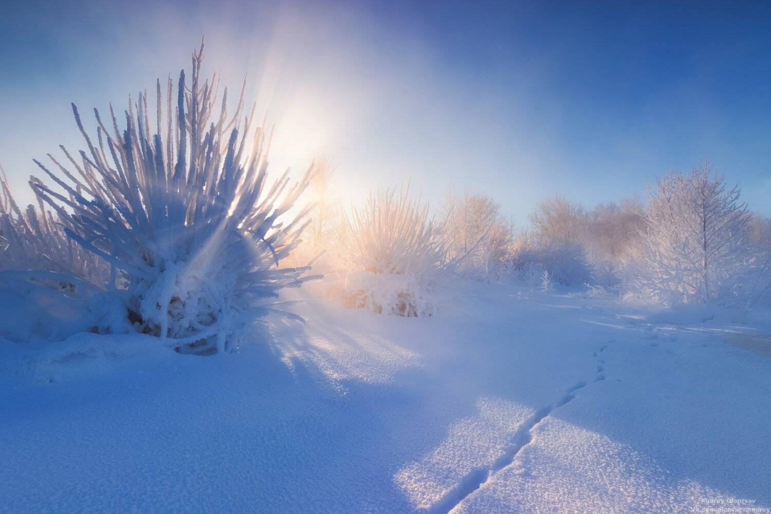 солнце, россия, рассвет, природа, подмосковье, погода, пейзажи, пейзаж, отражение, наукоград, красота, дубна, вода, весна, weather, water, spring, russia, reflection, naukograd, nature, moscow, landscape, dawn, canon, dubna, beauty, Андрей Олонцев