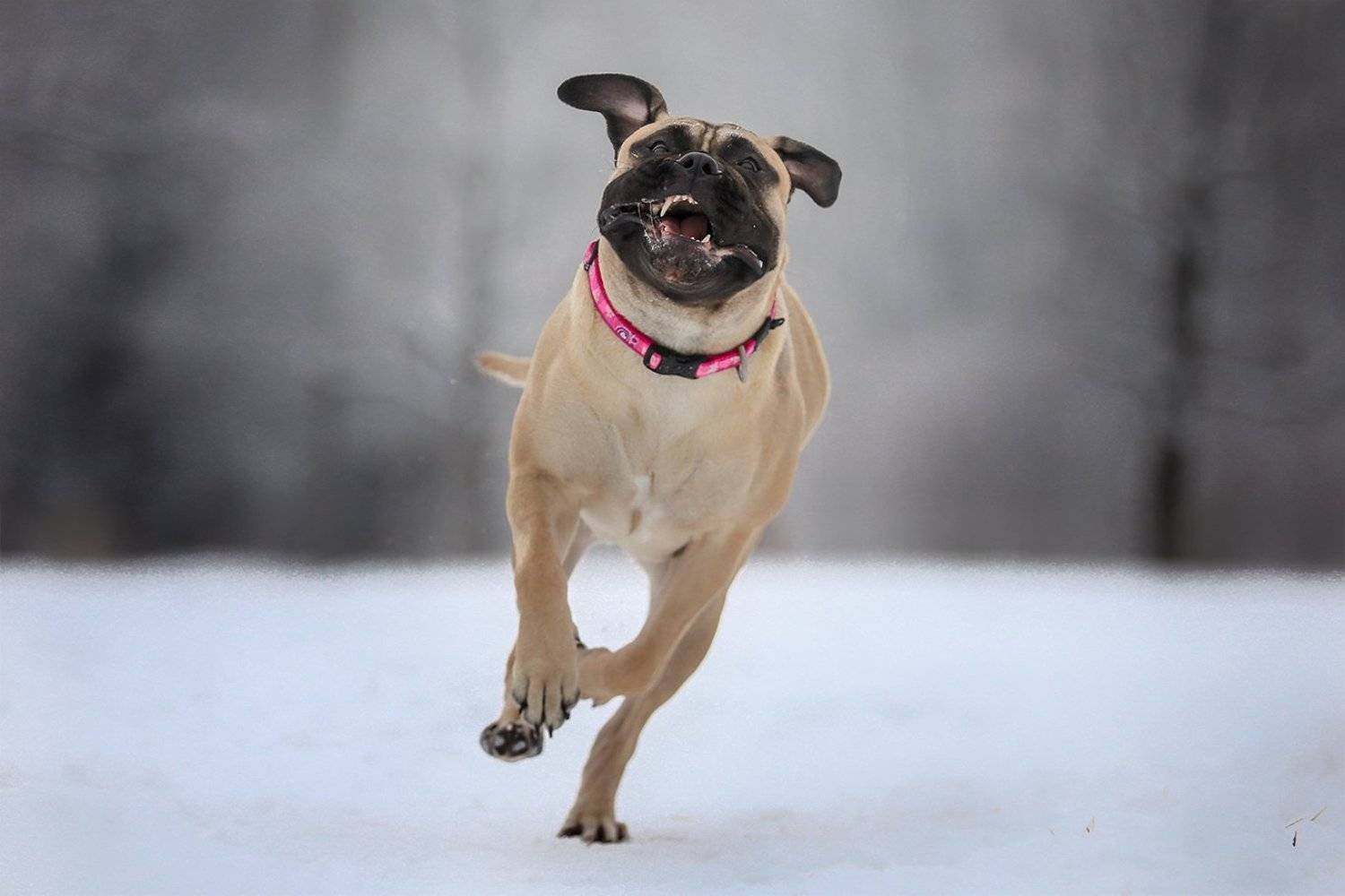 , Андрей Ершов