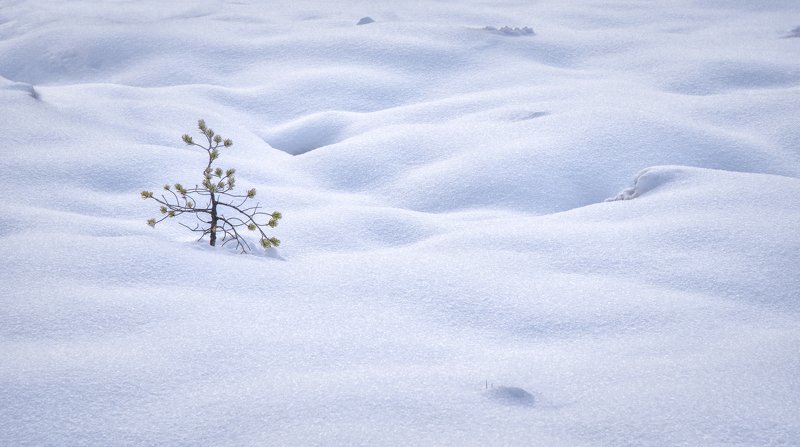 winter, landscape, snow, minimalism, winterlandscape, nature, Estonia Breaking the waves 2 фото превью