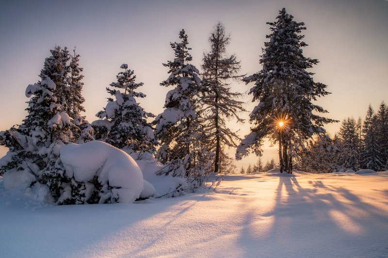 #sunset #winter #cold #Poland  Freezy sunset фото превью