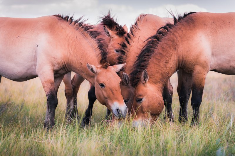 А чё это вы тут делаете, а?! фото превью