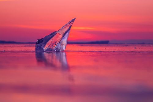 Зуб дракона