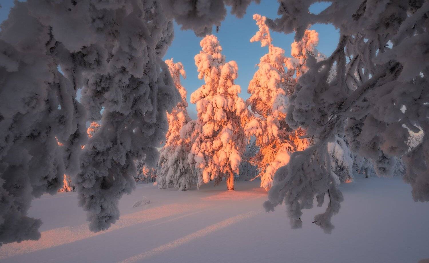 , Виталий Истомин