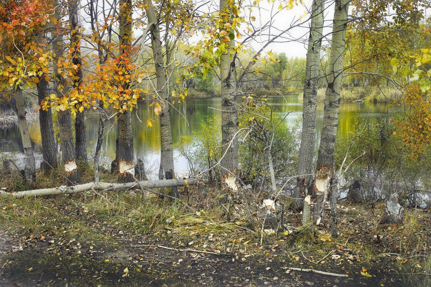 , Бусыгин Борис