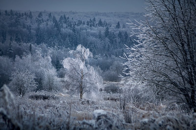 пейзаж, зима, снег Затеряться в снегах фото превью