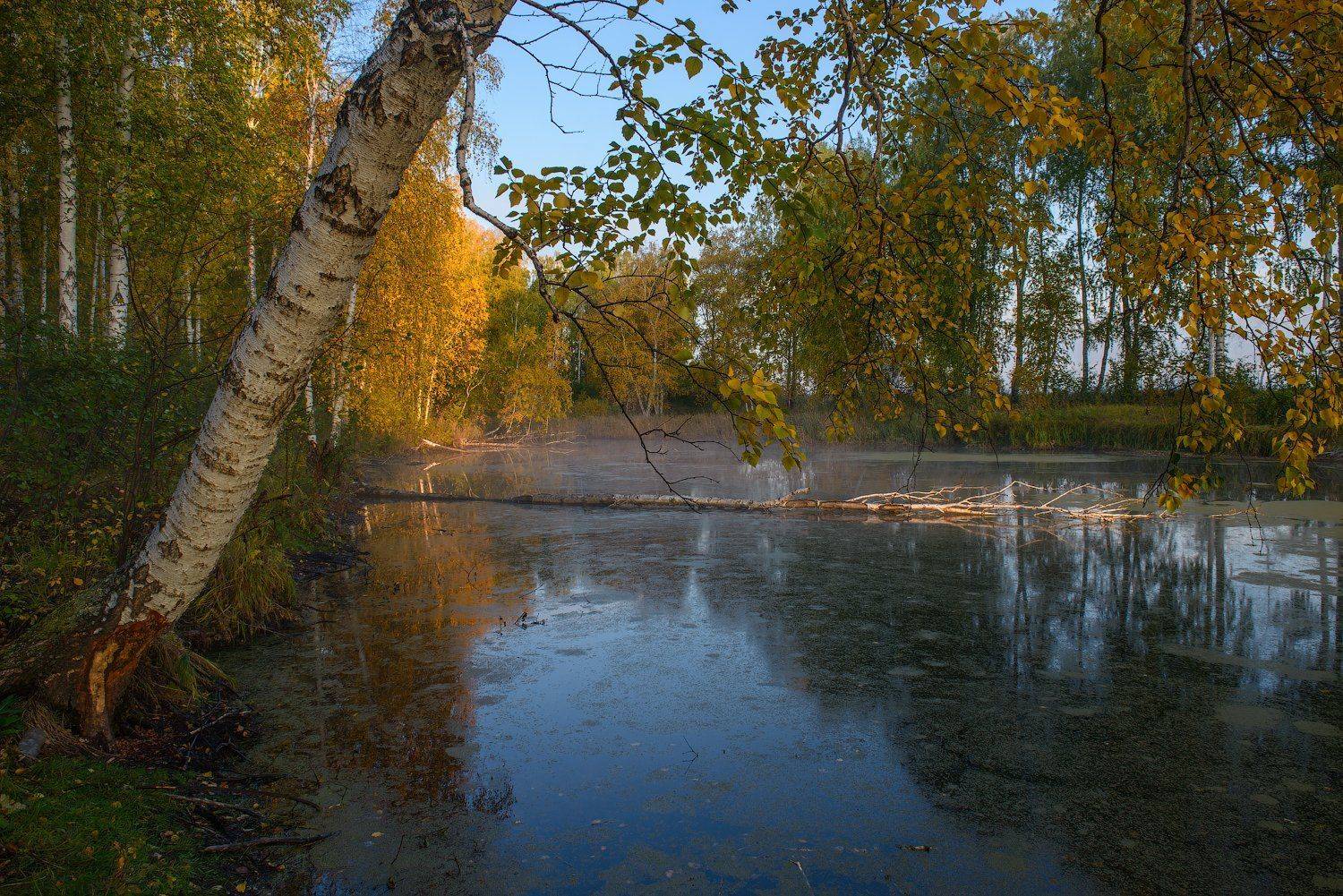 Курганская зауралье Шадринск, Кутыгин Эдуард
