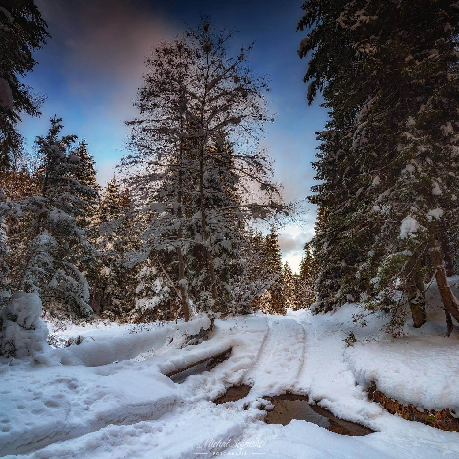#zawoja #poland #zima #winter #tree #snow #benro #benq, Michał Sośnicki