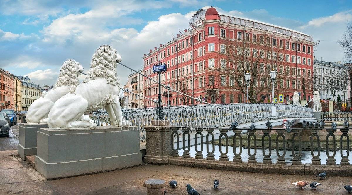 санкт-петербург, львиный мост, Юлия Батурина