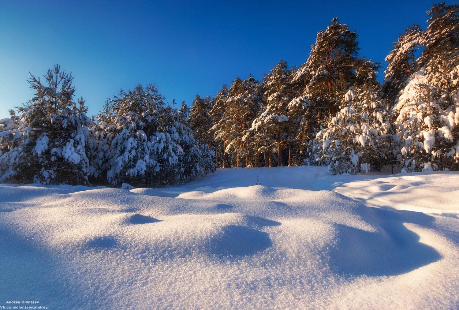 солнце, россия, рассвет, природа, подмосковье, погода, пейзажи, пейзаж, отражение, наукоград, красота, дубна, вода, весна, weather, water, spring, russia, reflection, naukograd, nature, moscow, landscape, dawn, canon, dubna, beauty, Андрей Олонцев