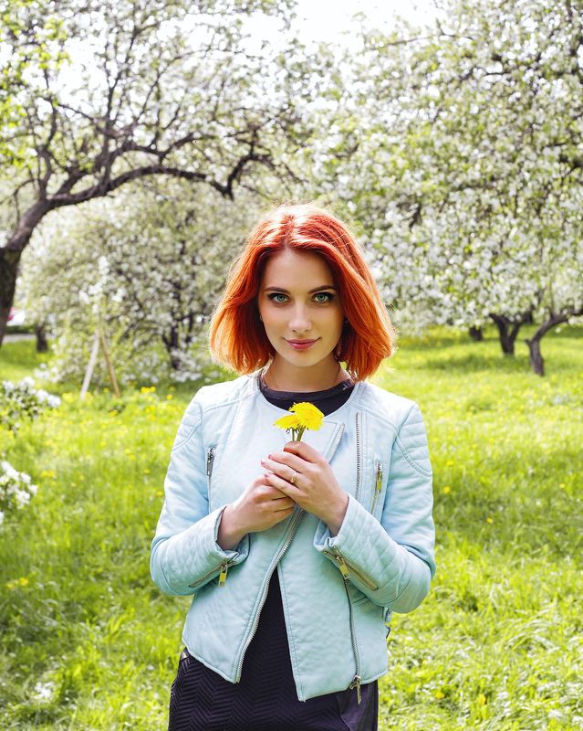 фотографалинция лиса фото превью