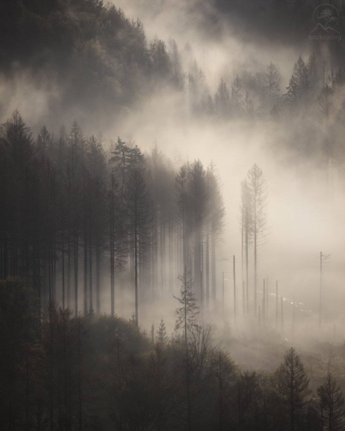 , Анатолий Гордиенко