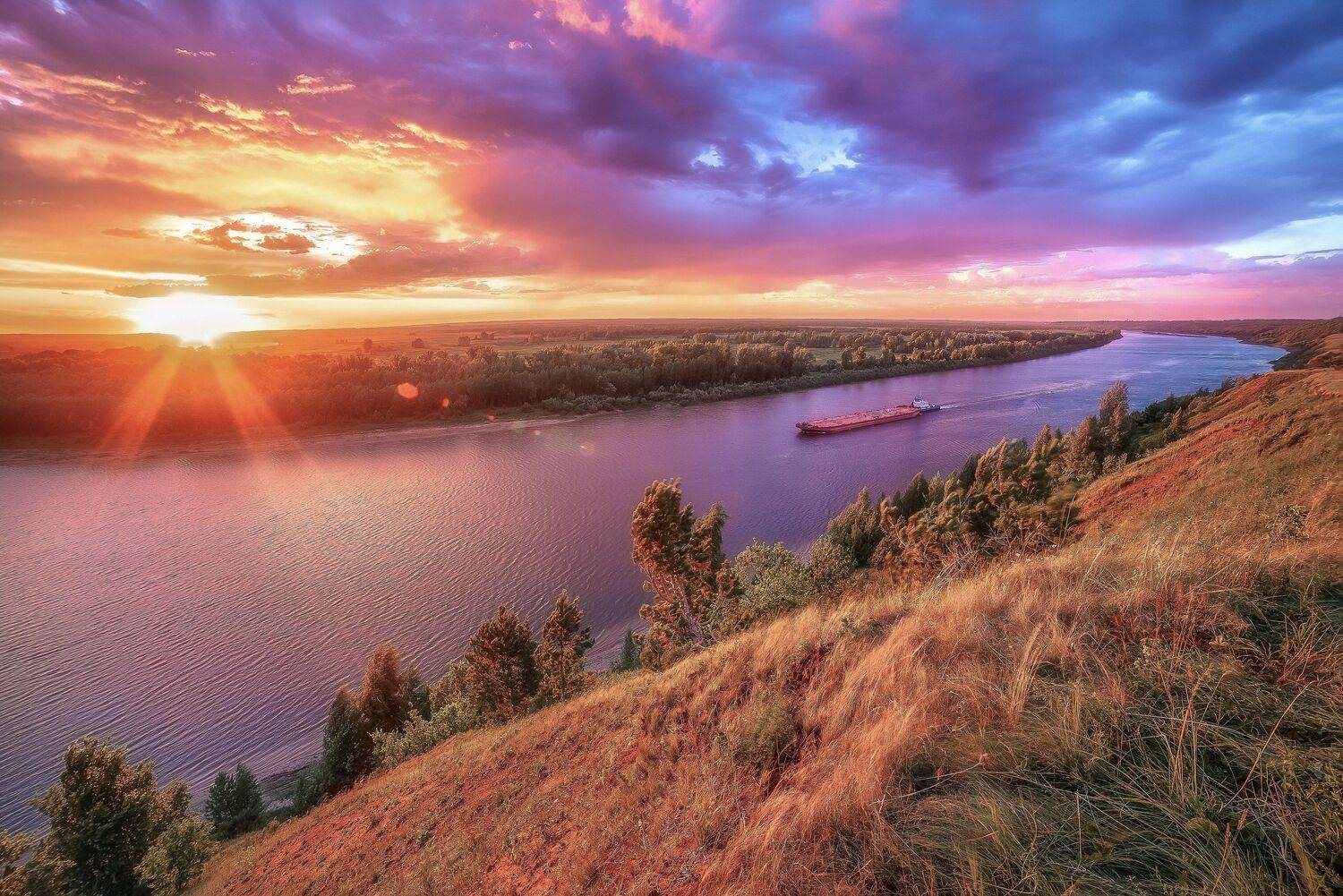 , Алексей Никитин