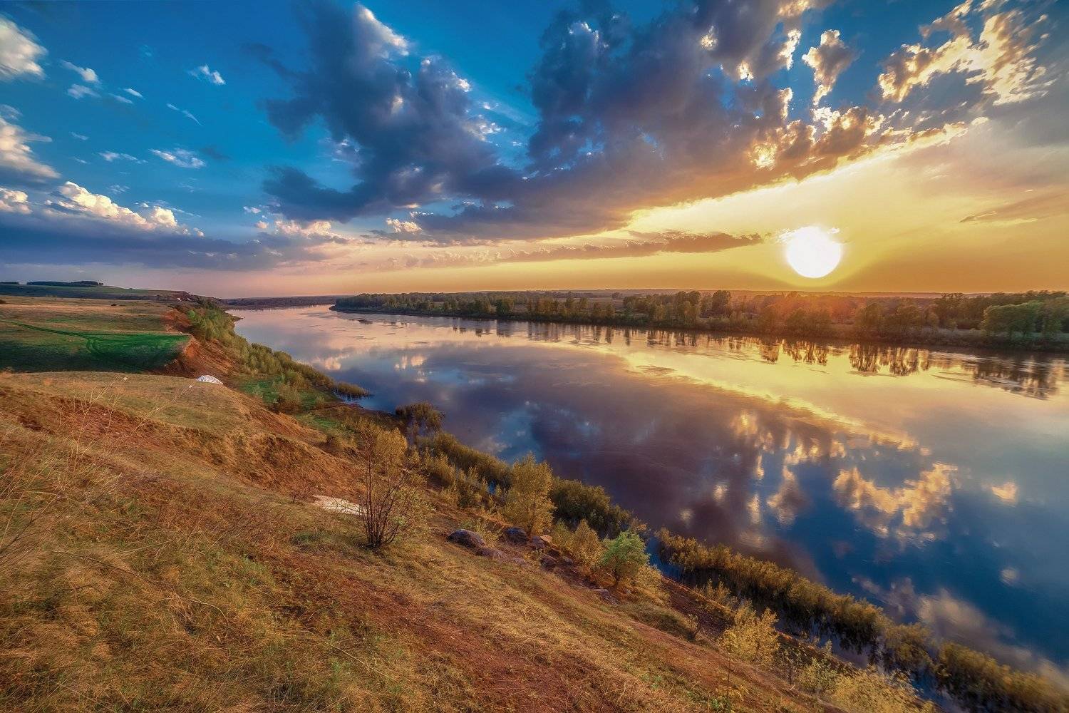 , Алексей Никитин