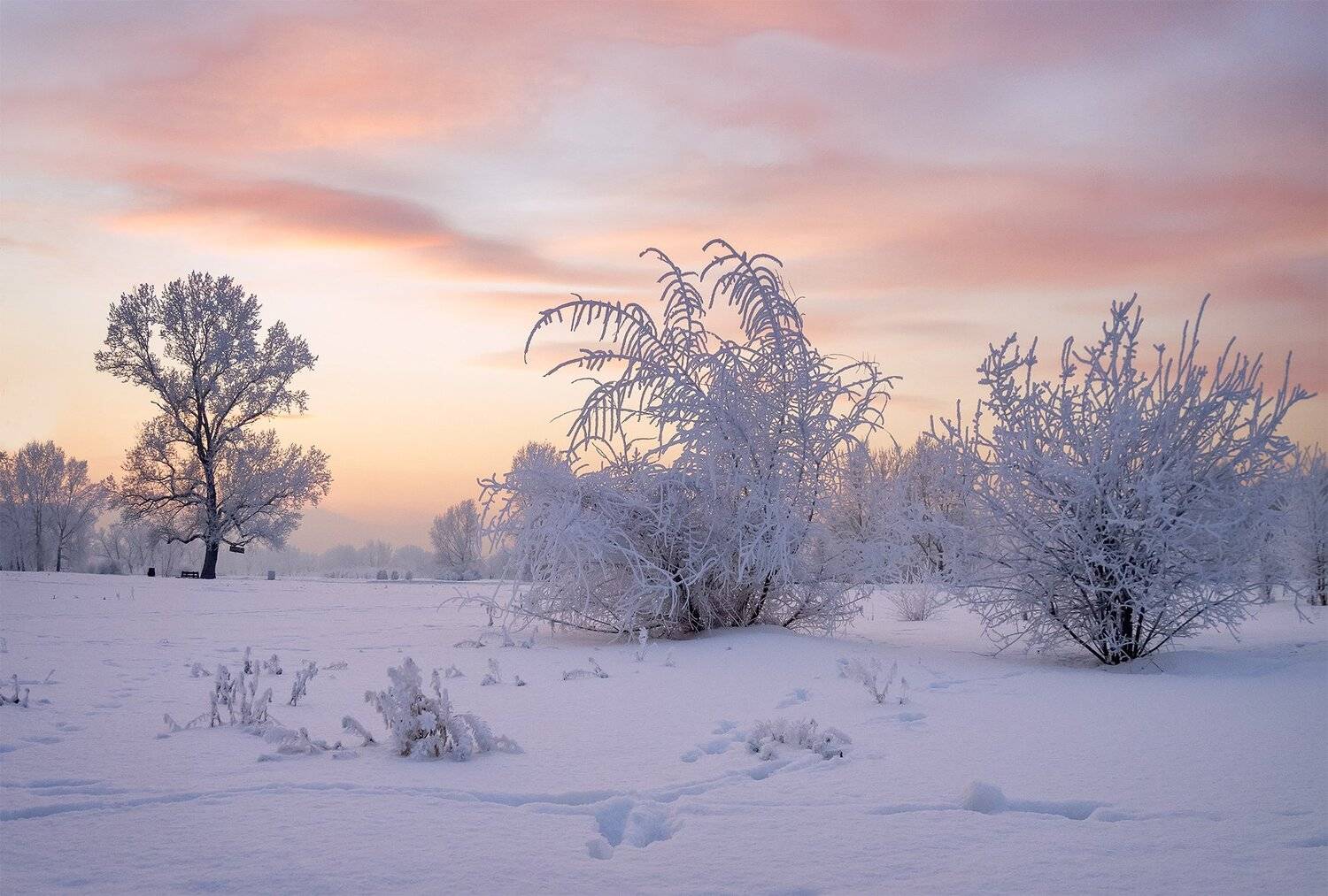 , Лещёнок Александр