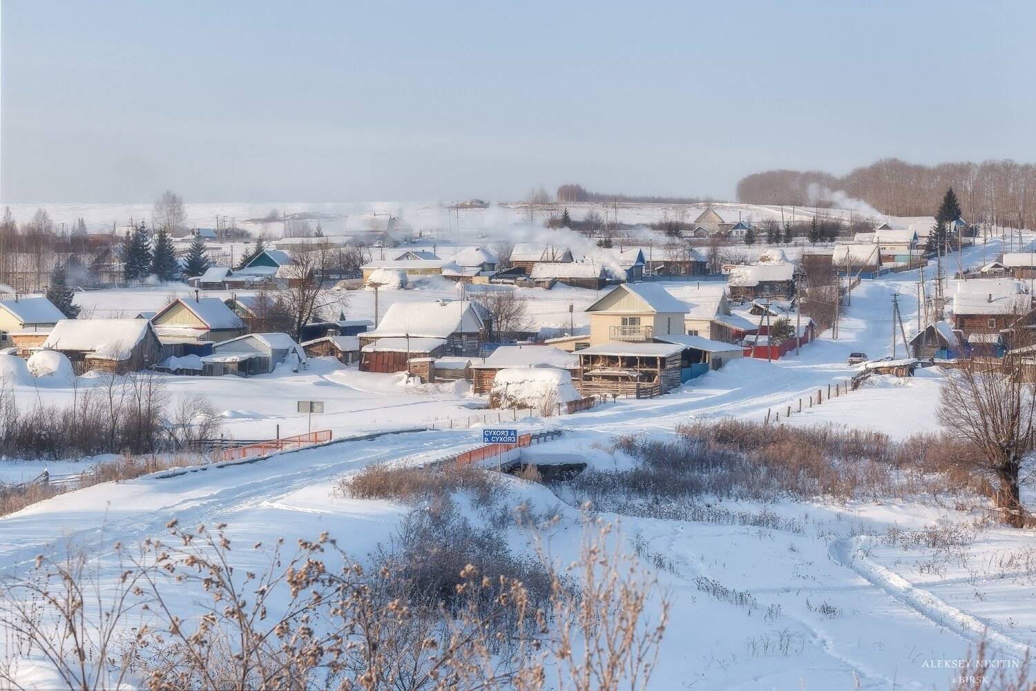 , Алексей Никитин