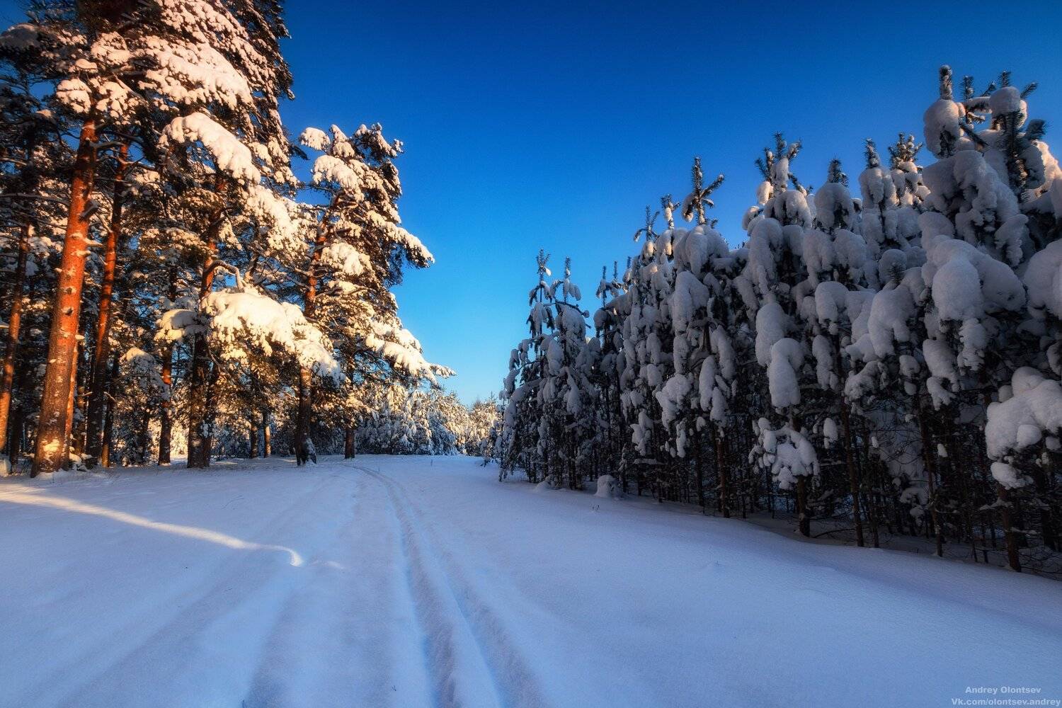 солнце, россия, рассвет, природа, подмосковье, погода, пейзажи, пейзаж, отражение, наукоград, красота, дубна, вода, весна, weather, water, spring, russia, reflection, naukograd, nature, moscow, landscape, dawn, canon, dubna, beauty, Андрей Олонцев