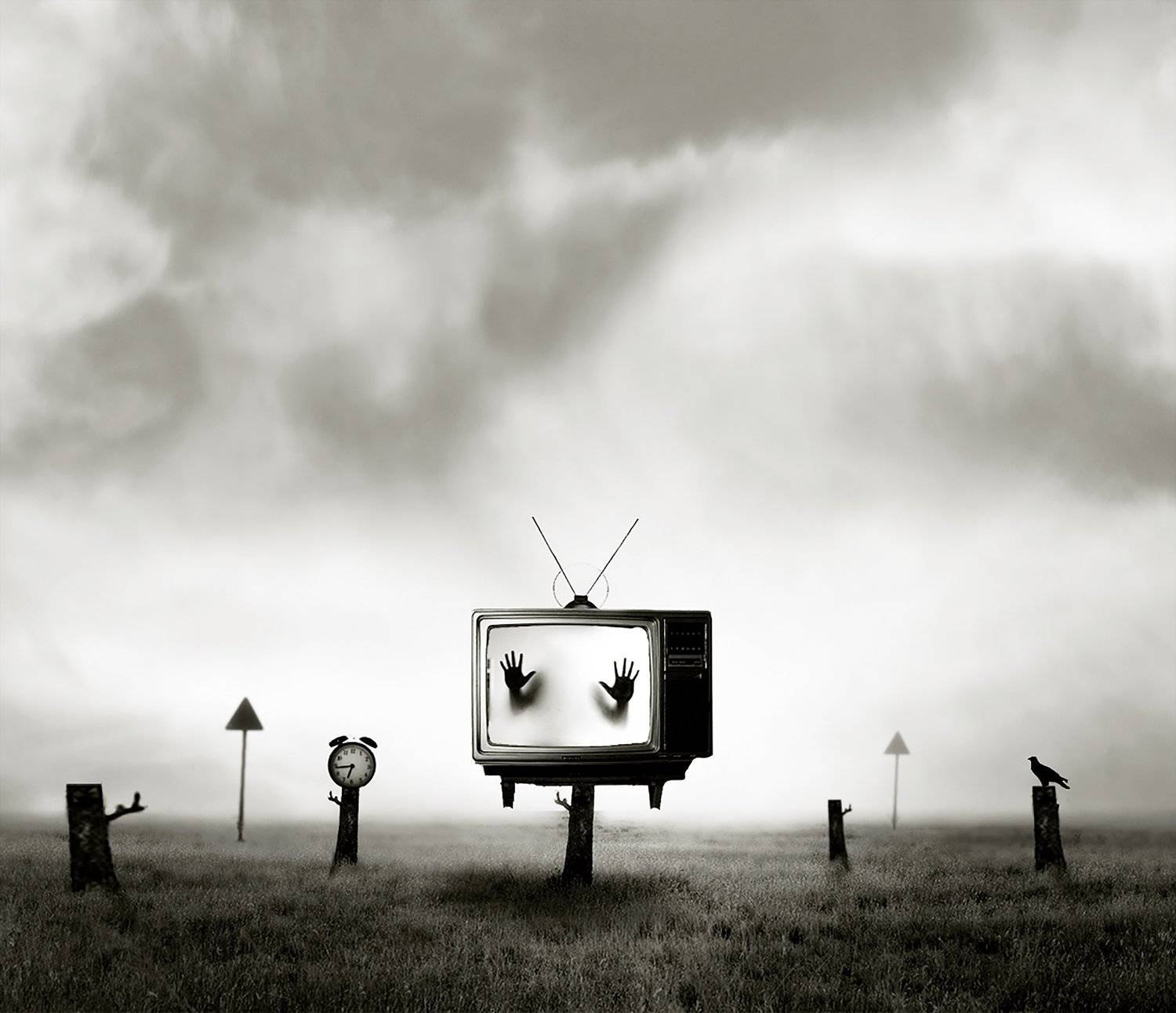 conceptual, Hadi Malijani