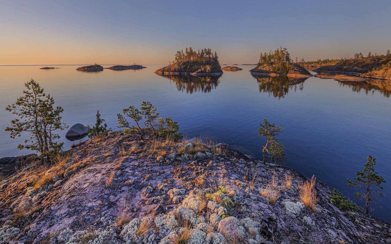 , ДМИТРИЙ ПУЗЕНКО