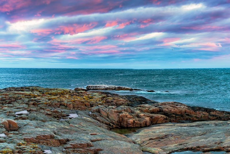 териберка, баренцево море, мурманская область На берегу Баренцева моря. Ноябрь 2020 г. фото превью