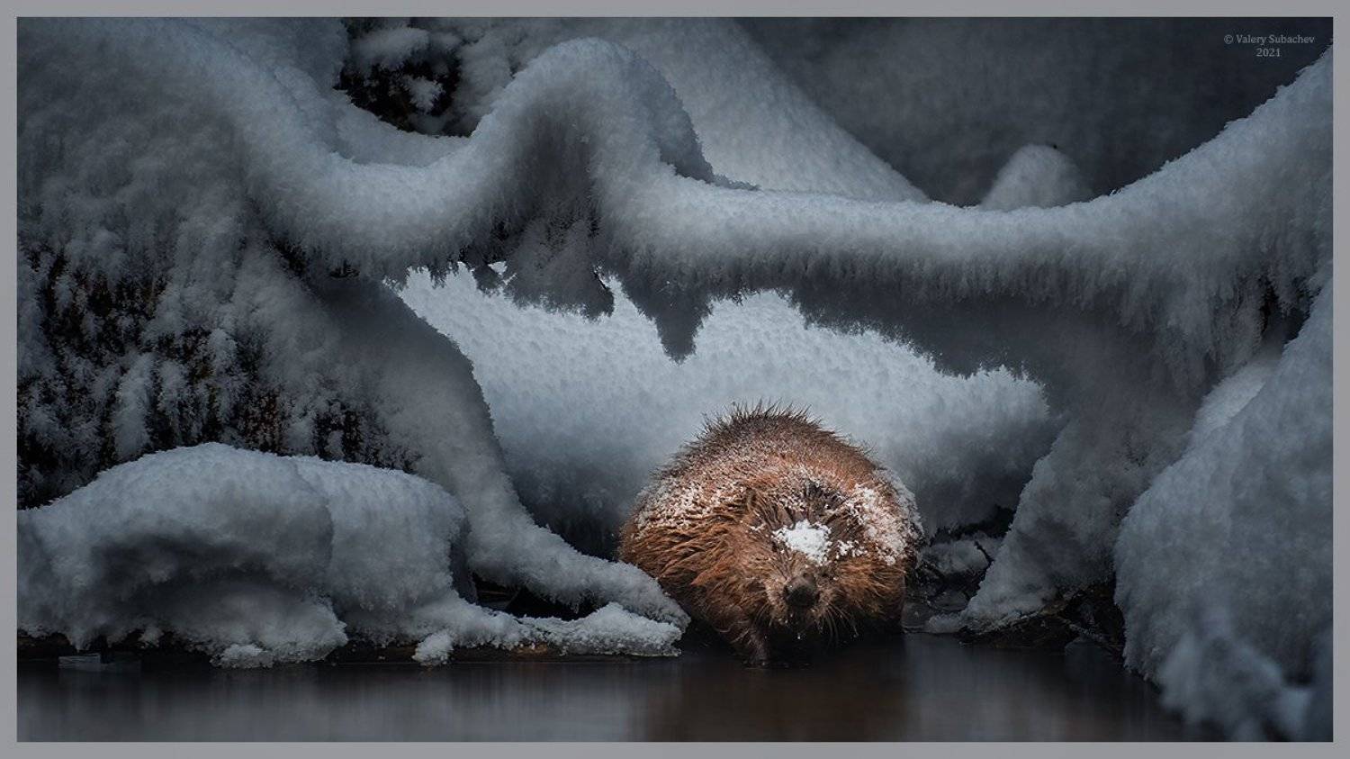 , Валерий Субачев