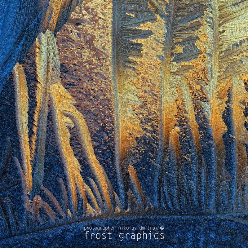 макро, мороз, дмитрук fg 3. 214 лёдсафари фото превью